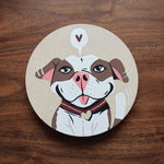 Pawfect Pets - 9